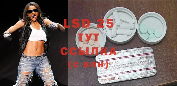стафф Новодвинск