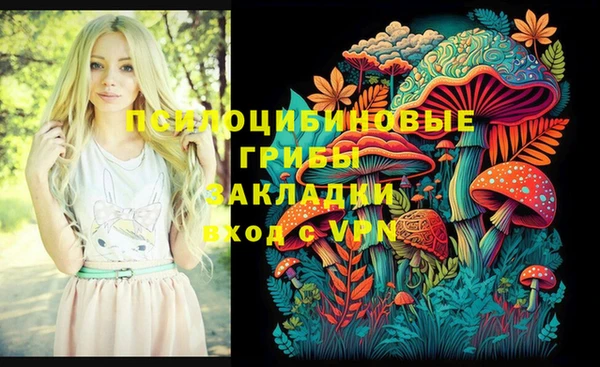 стафф Новодвинск