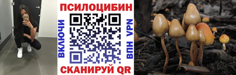 даркнет сайт  Советский  blacksprut вход  Галлюциногенные грибы GOLDEN TEACHER 